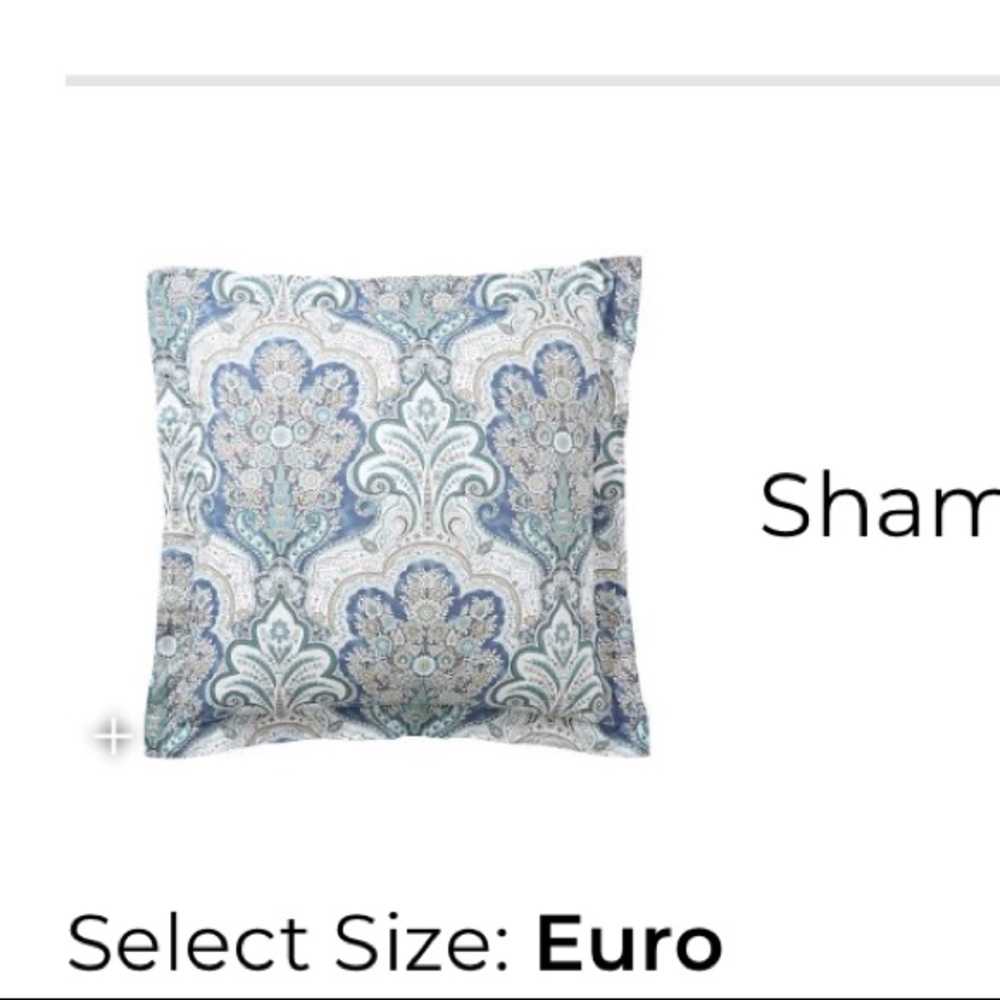 Pottery barn Jordana euro sham